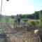 Vuglamping