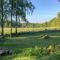 Lovely Home In Backaryd With Lake View - Backaryd