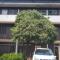 Lolos 1bed Apt-Best location-2Balconies