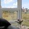 Gorgeous Home In Thisted - Thisted