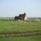 Charming Cottage in Romney Marsh Britain with Wooden Deck
