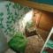 Shelter Hostel Malang - 玛琅