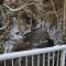 Apartment in Wildemann Harz near the ski area - 维尔德曼