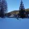 Apartment in Wildemann Harz near the ski area - 维尔德曼