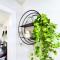 Modern Boho Retreat - كورفاليس