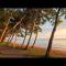 Tropical resort vibes - Northern beaches Cairns - 三一海滩