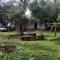 Aastha homestay