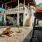 Mai Ke Kai Surf House
