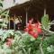 Cocochill Surfhouse