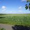 Loevesteijn - Ouddorp