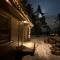 Modern northern lights cabin