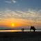 2 Appartements à tamraght taghazout bay surf spot - Aourir