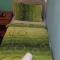 Guest House Dragomir - Sutomore