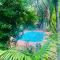 The Backyard 28