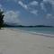 Heliconia Grove