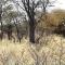 West Nest Lodge - Gobabis