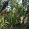 Fully equipped 2 bedroom tree top cottage, with large balcony in private garden - 圣伊格纳西奥