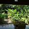 Hummingbird Rest a fully equipped cabana in subtropic garden - 圣伊格纳西奥