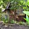 Hummingbird Rest a fully equipped cabana in subtropic garden - 圣伊格纳西奥