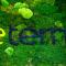 Aeterno Eco Guest House