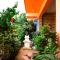 Last Minute Trip Hostel Morjim