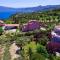 Villa Serenity House of an elegant, immaculate, luxury environment - 帕拉利亚基米斯