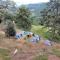 Janardan Campsite Kausani - Kausani