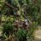 Room in Bungalow - Foresta Cottage of Koh Pu no6197 - Csum-sziget