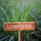 Aleenta Hua Hin - Pranburi - The Small Luxury Hotels of the World - Пранбури