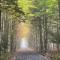 Log&Lov Tremblant 1 - La Conception