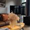 La Petronilla Boutique Hotel Moganshan