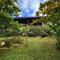 Private Mountaintop Cabin in Carara Biological Corridor 20 minutes to beaches - Carara