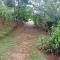 Private Mountaintop Cabin in Carara Biological Corridor 20 minutes to beaches - Carara
