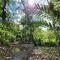 Private Mountaintop Cabin in Carara Biological Corridor 20 minutes to beaches - Carara