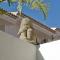 Casa Dos Angeles - In the sunny south of Tenerife