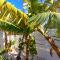 Billy's Place Protaras Luxury Villa with private pool with heated pool option for autumn and winter months