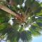 Colobus Suite of 40m2 in Villa 560 m2, View of the Indian Ocean