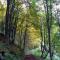 Le Pietre Ricce B&B
