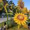 Vinhome Grand Park Homestay-Happy House
