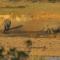 Umvangazi Rest - Marloth Park