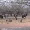 Umvangazi Rest