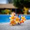 Aroa Beachside Resort