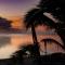 Aroa Beachside Resort