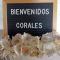 Hostal CORALES