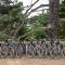 Asilomar Conference Grounds