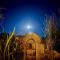 Cave Creek Desert Oasis - Cave Creek