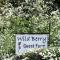 Wild Berry Guest Farm - Windy