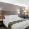 Quality Inn & Suites Amsterdam