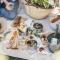 Spier Hotel and Wine Farm