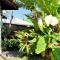 Tombo Beach Home Stay